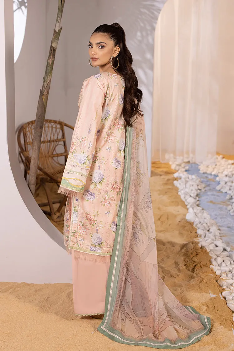 Ellena | Luxury Embroidered Collection| P-01